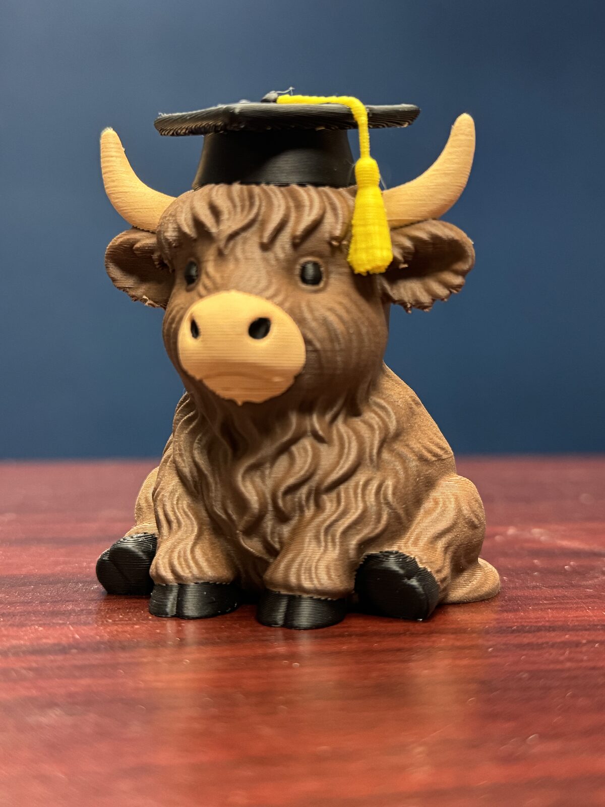 Highland Cow Graduate — custom 3D print by Cordner's 3D Corner